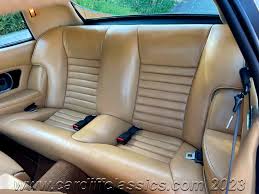 Image result for Sable Black 1982 Jaguar