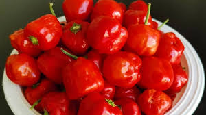 Afbeeldingsresultaat voor peppadew hot pepper