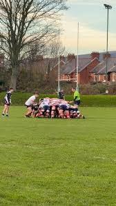 Image result for Ards Rugby Football Club
