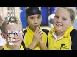 Image result for Swindon Dolphins