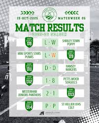 Image result for Hamsey Rangers Fc