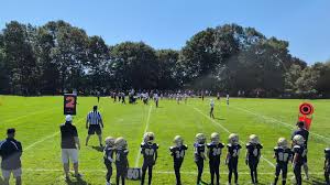 Image result for Milford Green Football Club