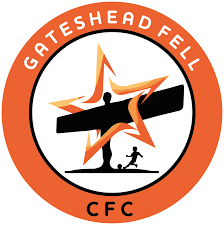 Image result for Gateshead Fell Cricket Club