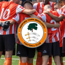 Image result for Ashford Tanners Handball Club