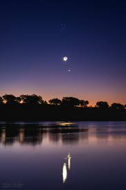 Image result for moon venus