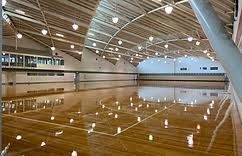 Image result for Waverley Netball Club