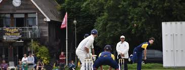Image result for Esh Winning Cricket Club