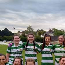 Image result for Sarsfield Gfc