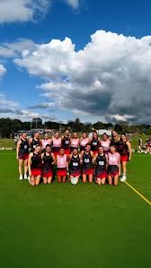 Image result for Wandsworth Netball Club