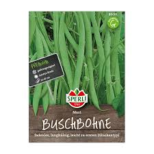 Image result for Buschbohnen