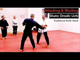 Image result for Goshin Ryu Atemi JuJitsu