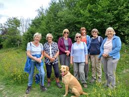 Image result for Ramblers Association - Mole Valley Group