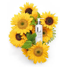 Attēlu rezultāti vaicājumam “Helianthus annuus fruit”