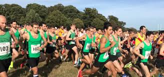 Image result for Guildford and Godalming Croquet Club