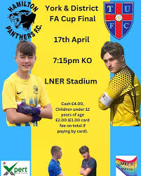 Image result for Hamilton Panthers Association Football Club