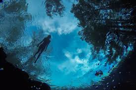 Image result for Blue Water Diving