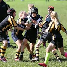 Image result for Caldicot Junior  & Mini Rugby Club