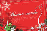 BONNE ANNEE - *Delfynus*
