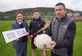 Image result for Patrick Sarsfield Gaelic Athletic Club