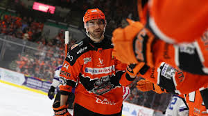 Image result for Sheffield Steelers