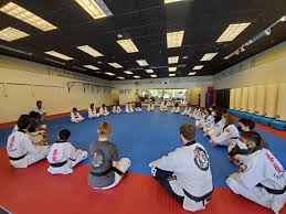 Image result for Torbay Taekwondo Schools