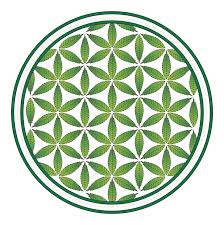 Image result for life flower