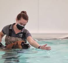 Image result for Duchy Divers