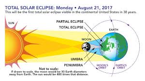 Attēlu rezultāti vaicājumam “Panolis umbra”