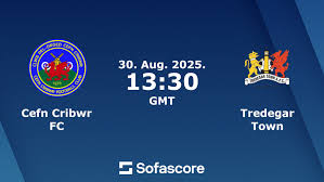 Image result for Tredegar Athletic Football Club