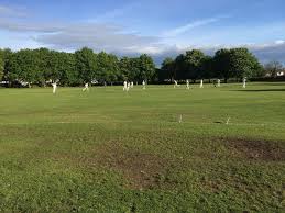Image result for Nazeing Common Cricket Club
