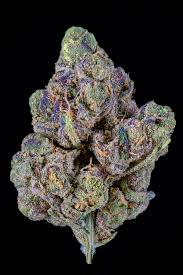 Attēlu rezultāti vaicājumam “Diderma montanum macro”