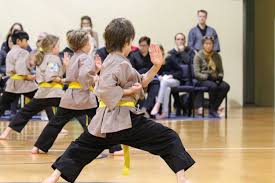 Image result for Shaolin Nam Pai Chuan Kung Fu - Manchester Martial Arts Centre
