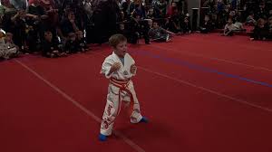 Image result for Jade Dragon School of Kung Fu and Qigong (Reading)