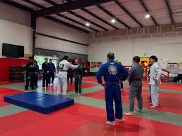 Image result for NEMESIS MARTIAL ARTS & FITNESS