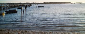 Image result for East Dorset Sailing Club