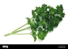 Image result for Petersilie