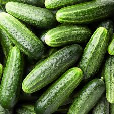 Image result for Gurke