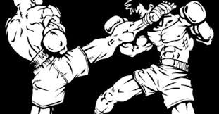 Image result for Southgate T`ai Tsung Chinese Boxing