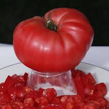 Afbeeldingsresultaat voor prudence purple tomato