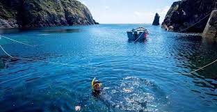 Image result for Eltham and District Sub Aqua Club