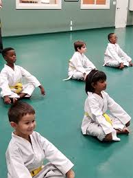 Image result for United Sport Karate