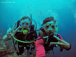 Image result for Exe To Sea Diving