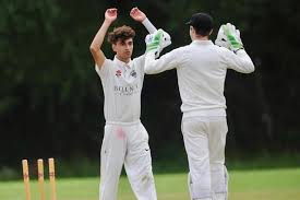 Image result for Bolney Cricket Club