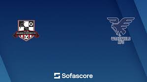 Image result for Dearne & District F C