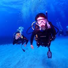 Image result for Duchy Divers