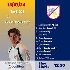 Image result for Yelverton Bohemians Cricket Club