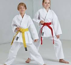 Image result for Soncho Karate Club