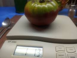 Afbeeldingsresultaat voor 1884 purple tomato