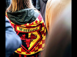 Image result for Watford Rugby Football Club
