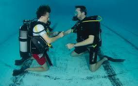 Image result for Surrey Aquanauts B S A C 0689